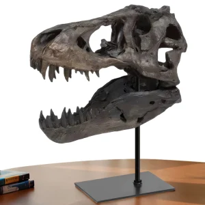 Dinosaur Skull Statue Resin Replica